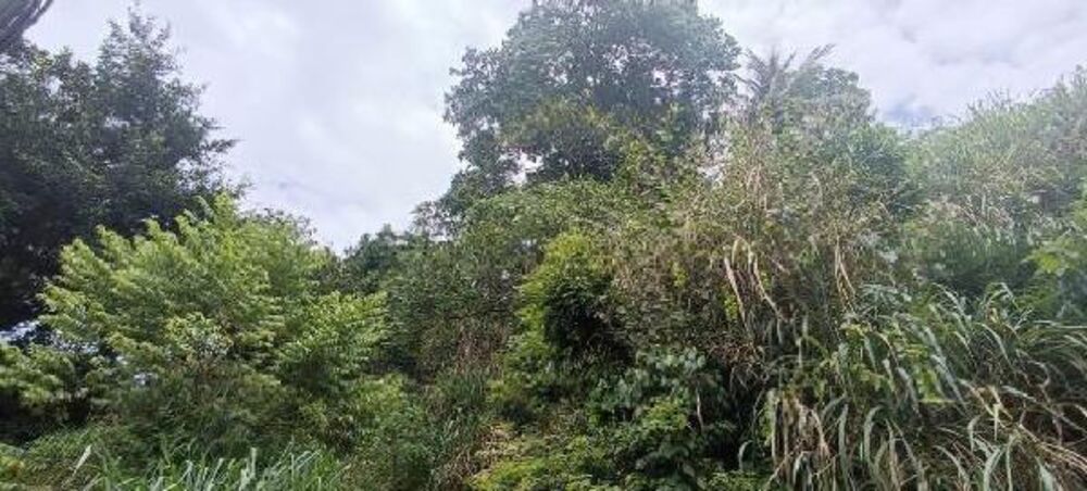 Terreno à venda com 1 quarto, 470m² - Foto 1