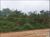 Terreno, 50 m² - Foto 1