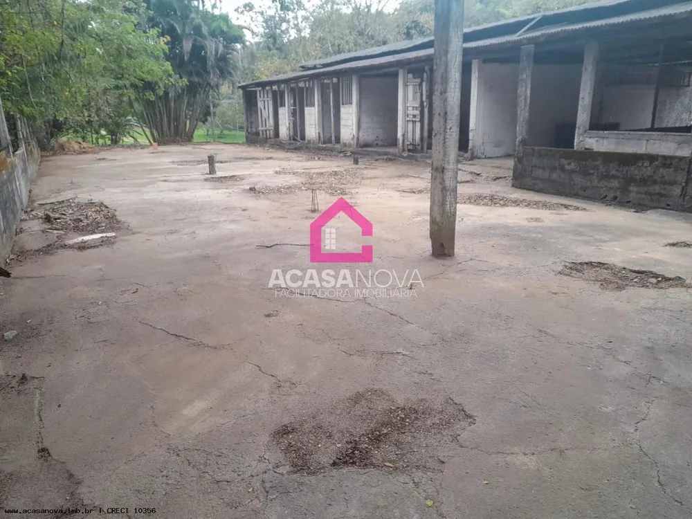 Sítio, 3 quartos, 10000 m² - Foto 19