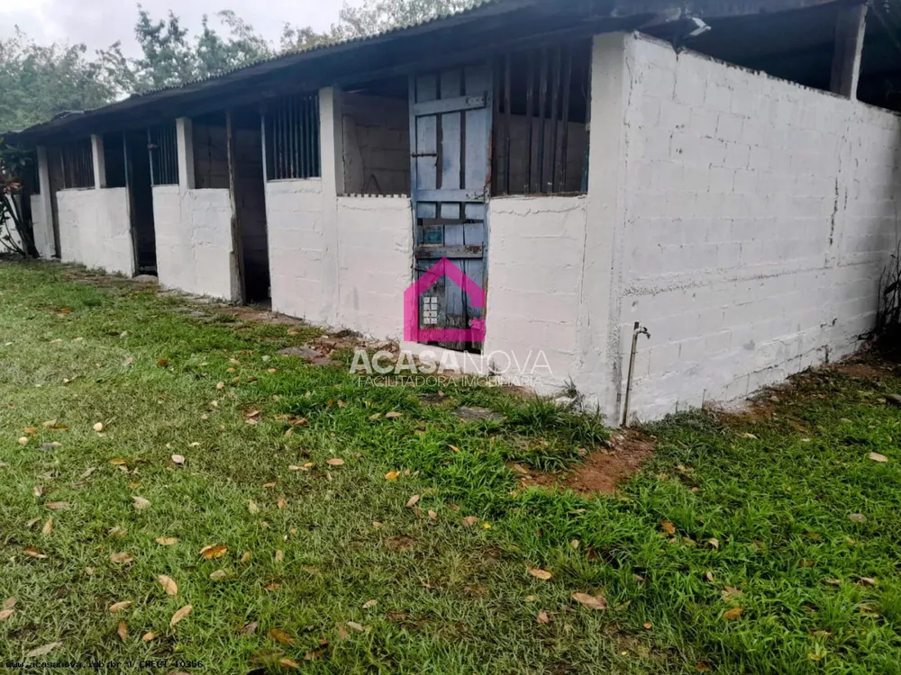 Sítio, 3 quartos, 10000 m² - Foto 13