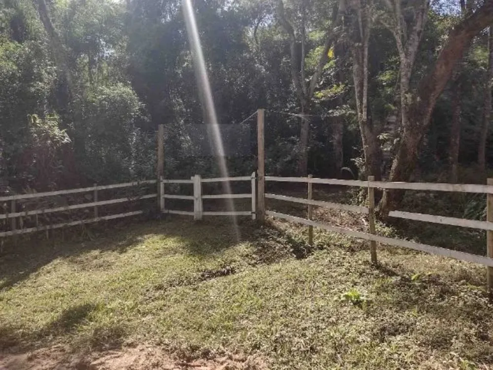Terreno, 4 hectares - Foto 1