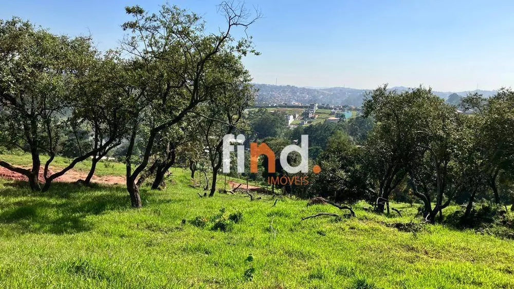 Terreno, 6 hectares - Foto 3
