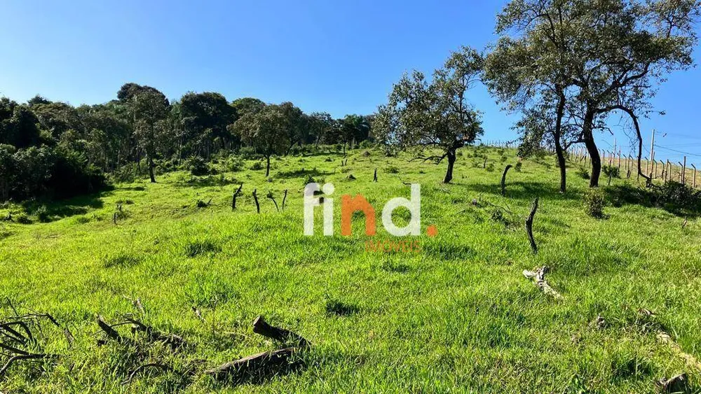 Terreno, 6 hectares - Foto 7