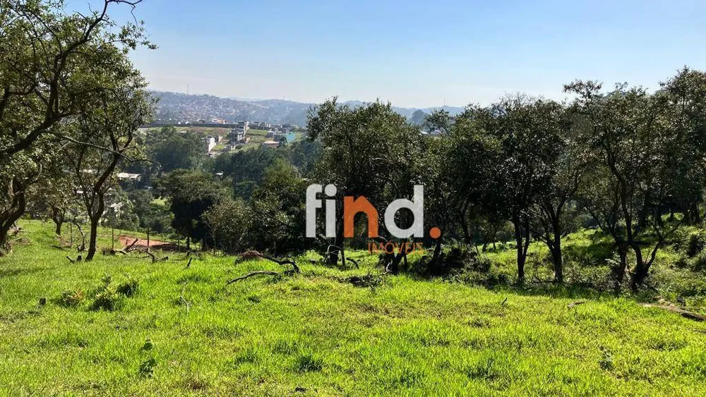 Terreno, 6 hectares - Foto 4