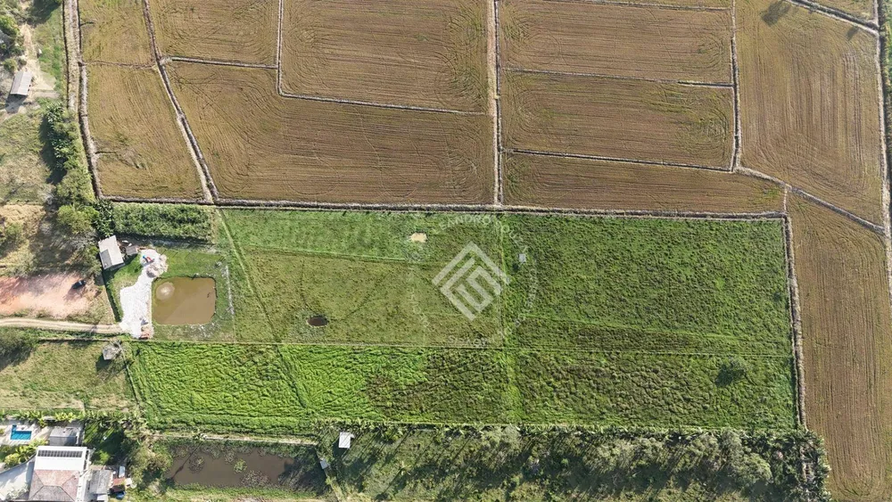 Terreno, 2 hectares - Foto 2