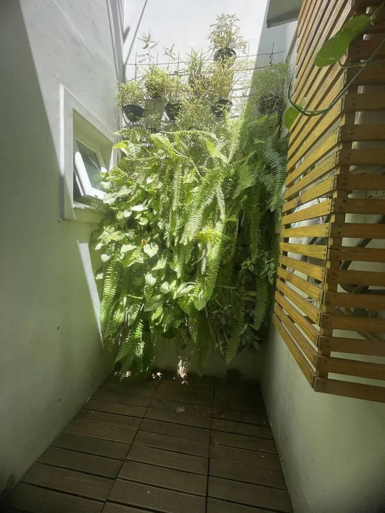 Casa, 2 quartos, 100 m² - Foto 7
