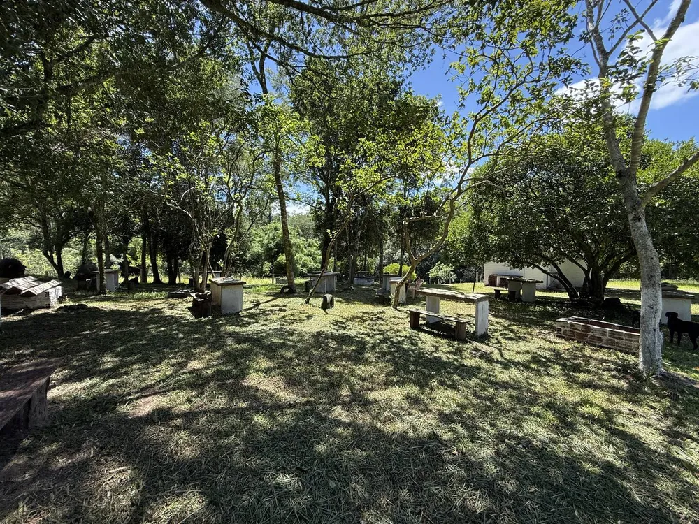 Sítio, 3 quartos, 3 m² - Foto 15