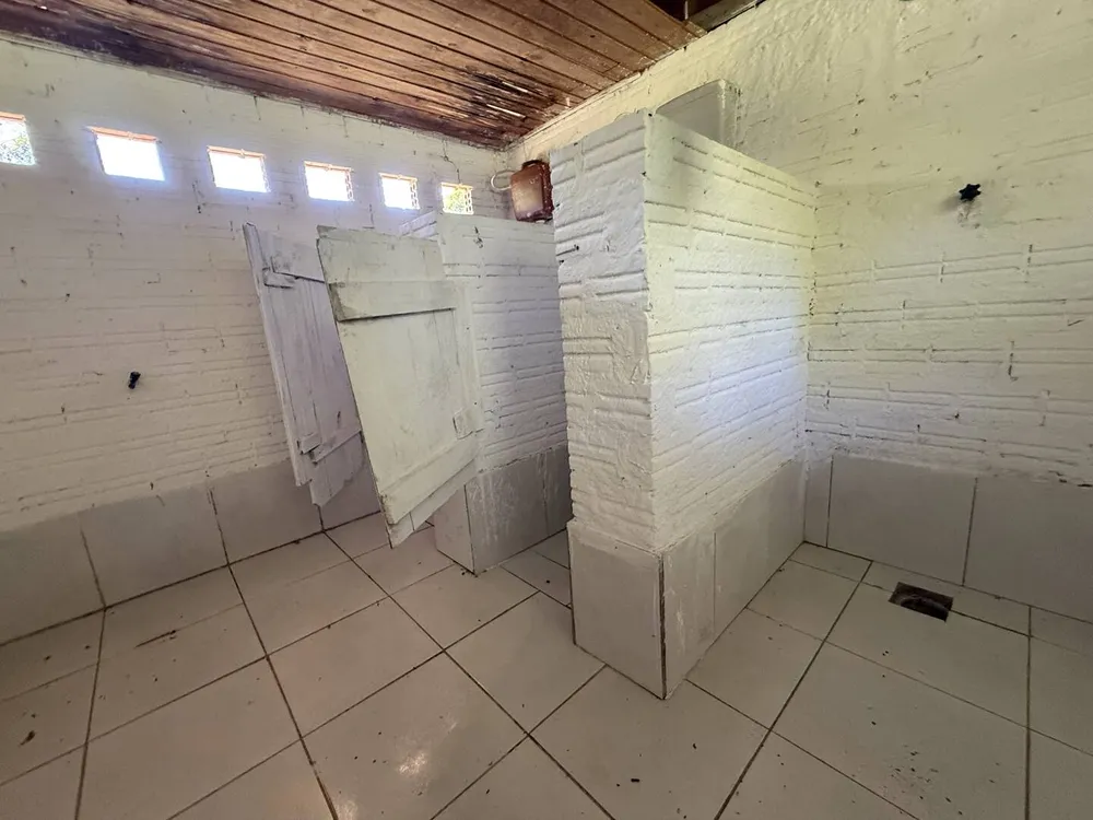 Sítio, 3 quartos, 3 m² - Foto 13
