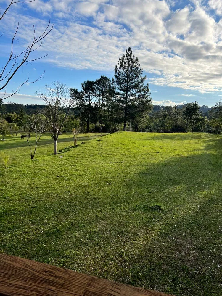 Sítio, 3 quartos, 5000 m² - Foto 11