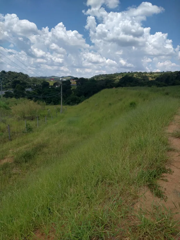 Terreno, 33 hectares - Foto 7