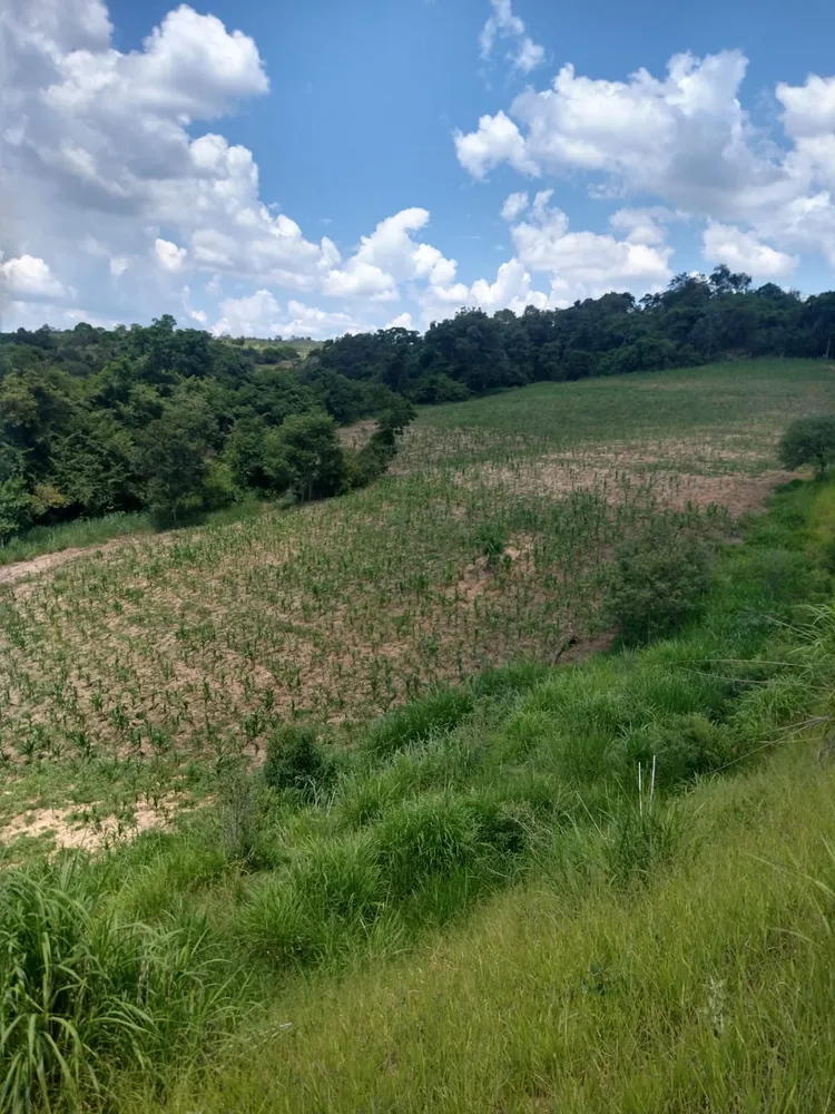 Terreno, 33 hectares - Foto 3