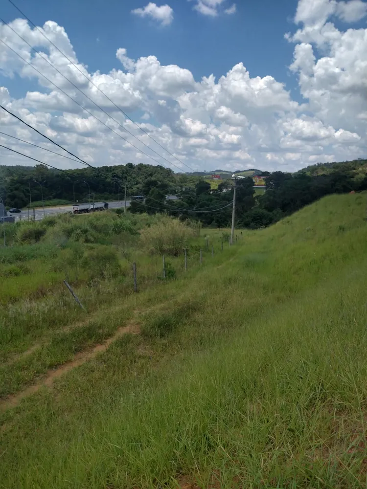 Terreno, 33 hectares - Foto 4