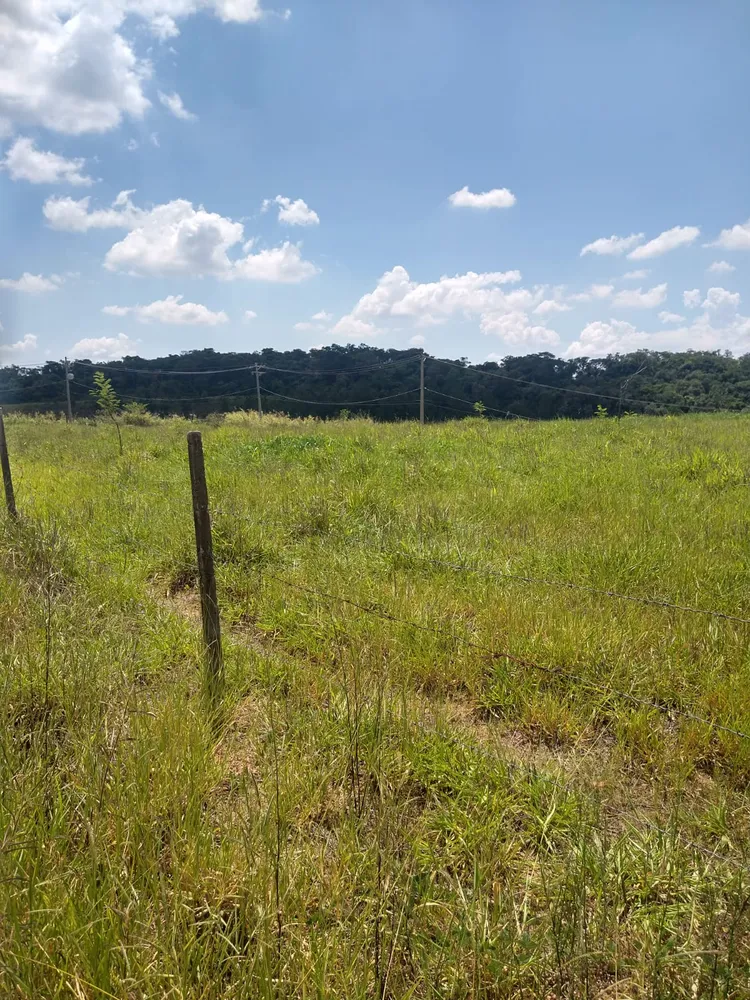 Terreno, 33 hectares - Foto 6