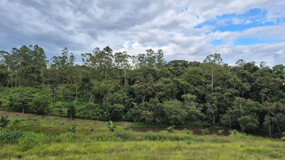 Terreno, 19 hectares - Foto 11