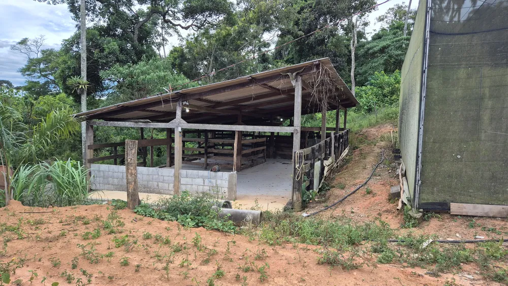 Terreno, 19 hectares - Foto 15