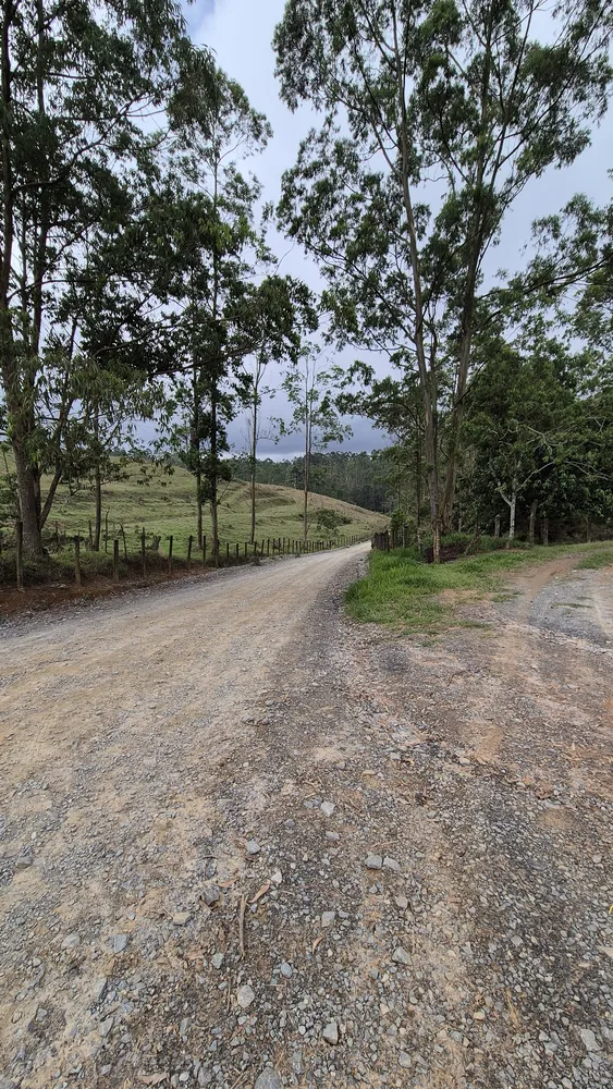 Terreno, 19 hectares - Foto 3
