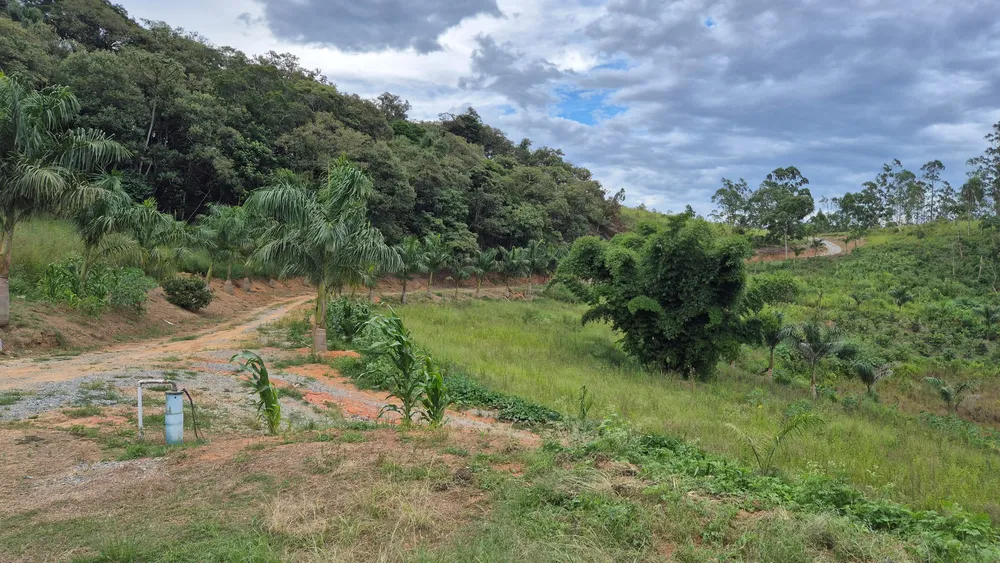 Terreno, 19 hectares - Foto 4