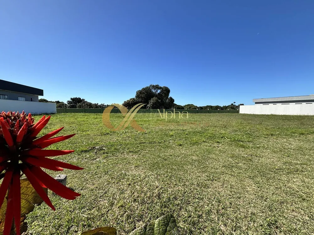 Terreno, 390 m² - Foto 3