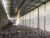 Depósito-Galpão, 1000 m² - Foto 2