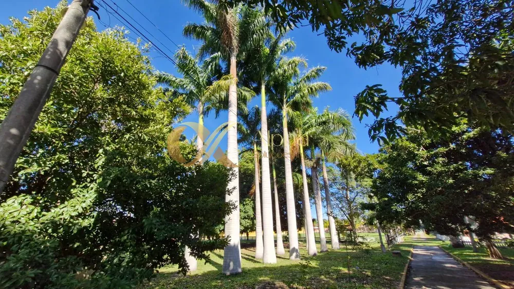 Sítio, 7 quartos, 3900 m² - Foto 40
