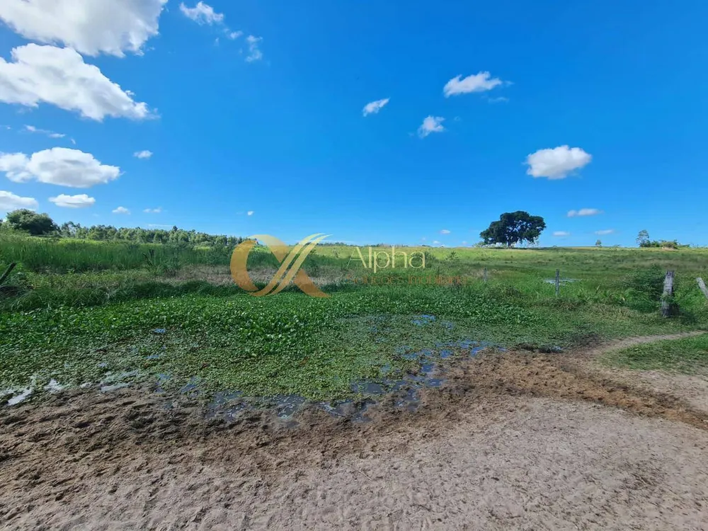 Terreno, 250 hectares - Foto 1
