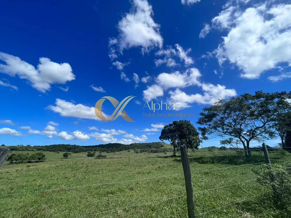 Terreno, 250 hectares - Foto 6