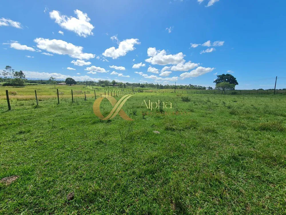 Terreno, 250 hectares - Foto 18
