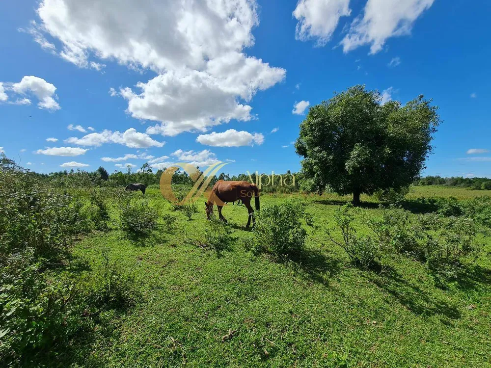 Terreno, 250 hectares - Foto 13