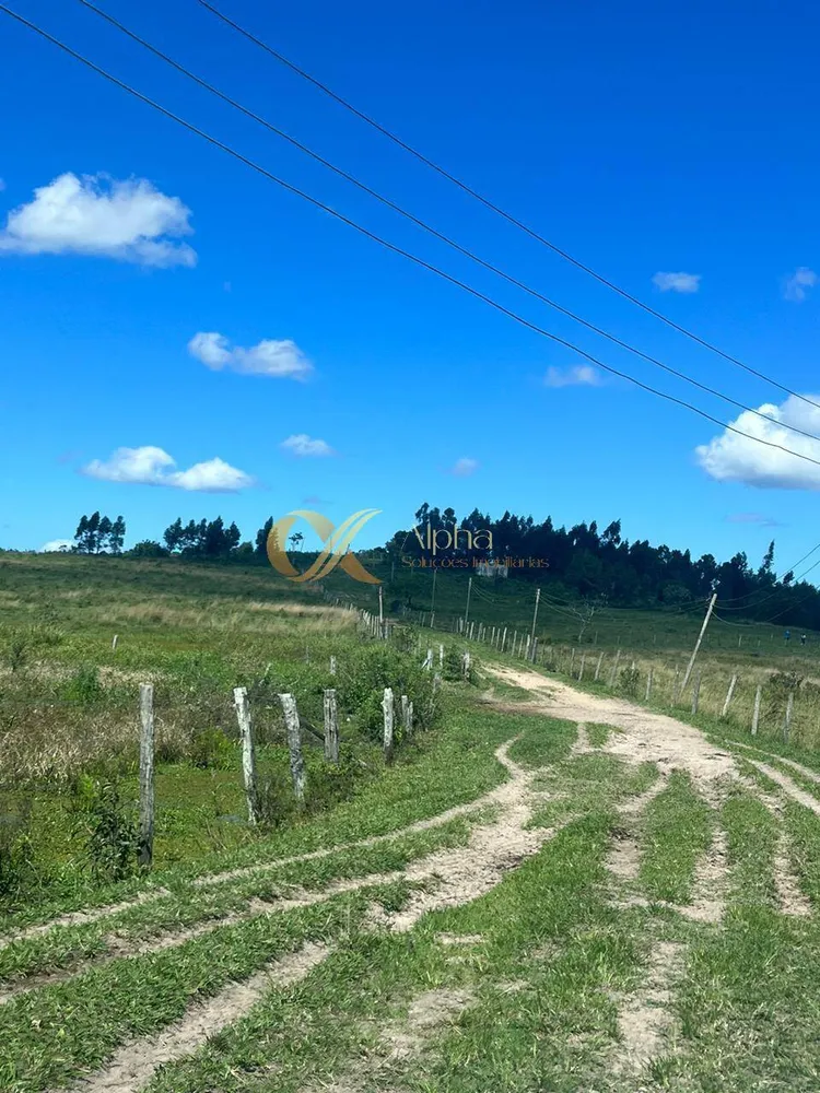 Terreno, 250 hectares - Foto 21