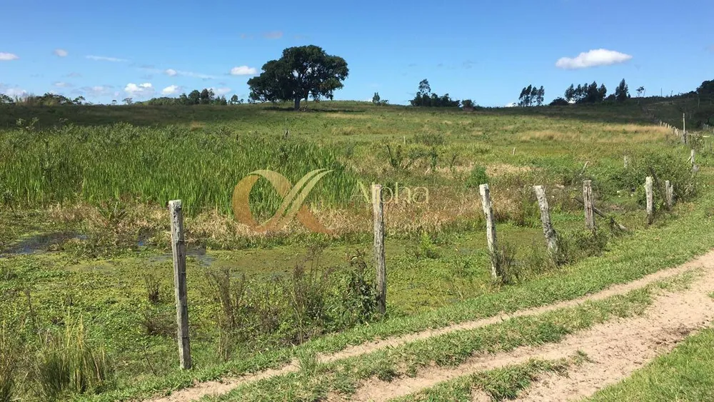 Terreno, 250 hectares - Foto 28