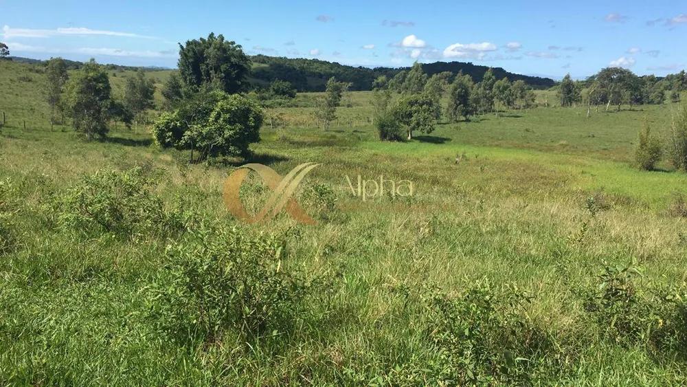 Terreno, 250 hectares - Foto 24