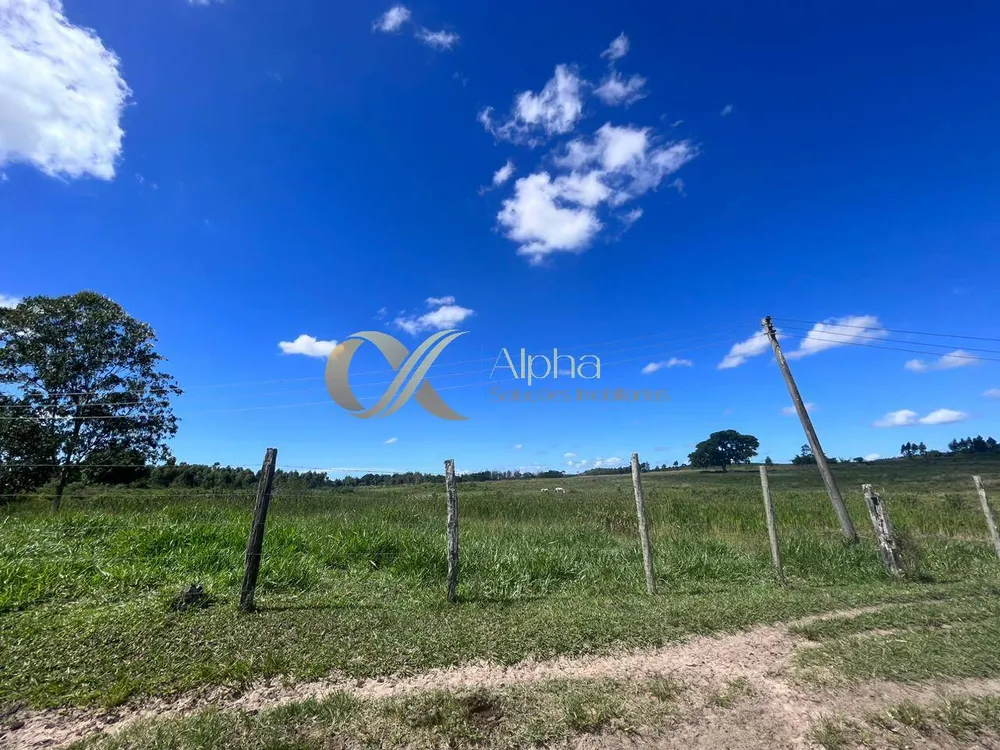 Terreno, 250 hectares - Foto 9