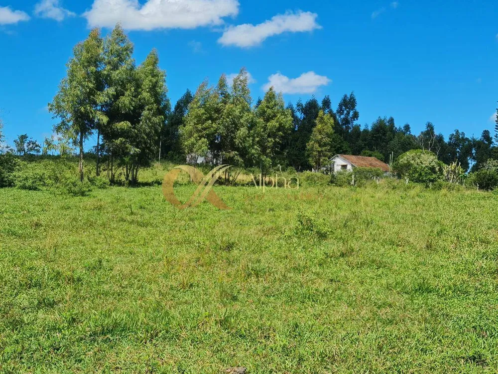 Terreno, 250 hectares - Foto 15