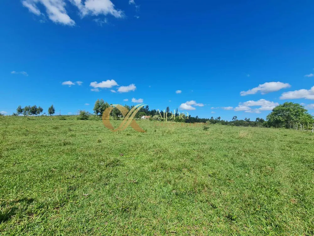 Terreno, 250 hectares - Foto 3