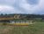Sítio, 3 quartos, 2 hectares - Foto 12