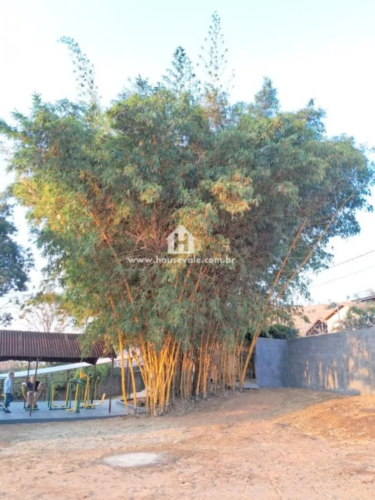 Chácara, 3 quartos, 2594 m² - Foto 2