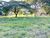 Terreno, 1000 m² - Foto 2