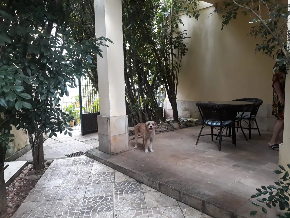 Casa, 5 quartos, 398 m² - Foto 3