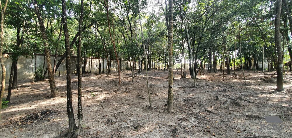 Terreno, 2000 m² - Foto 2