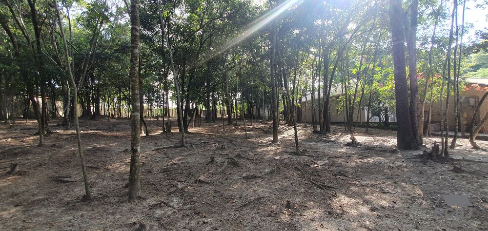Terreno, 2000 m² - Foto 1
