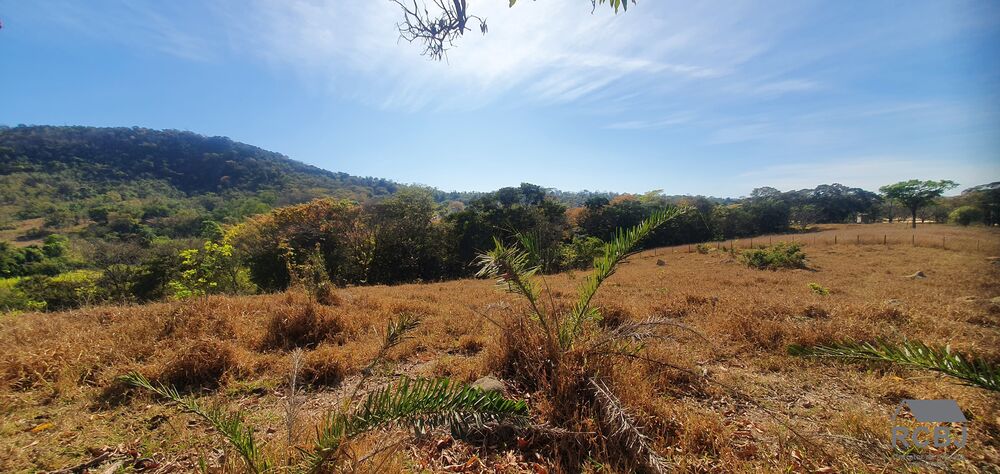 Terreno, 3 hectares - Foto 1