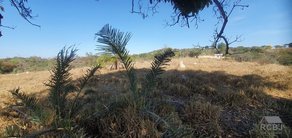 Terreno, 3 hectares - Foto 4