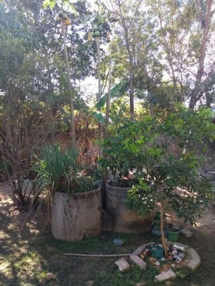 Casa, 2 quartos, 30 m² - Foto 3