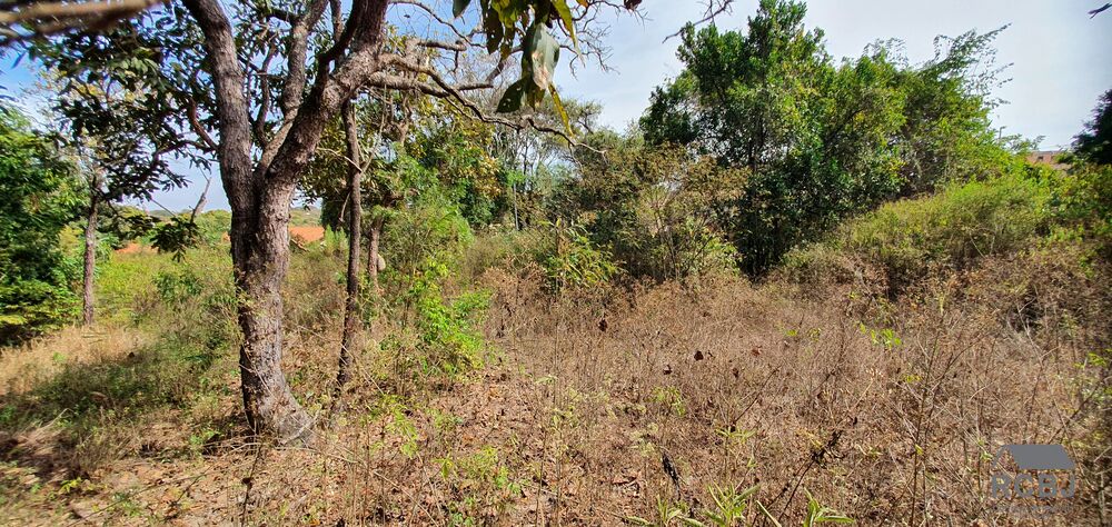 Terreno, 1000 m² - Foto 1