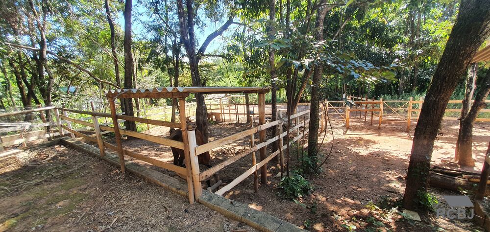 Sítio, 3 quartos - Foto 10