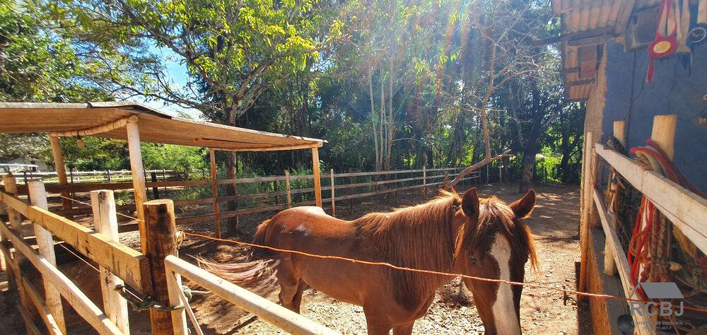 Sítio, 3 quartos - Foto 16