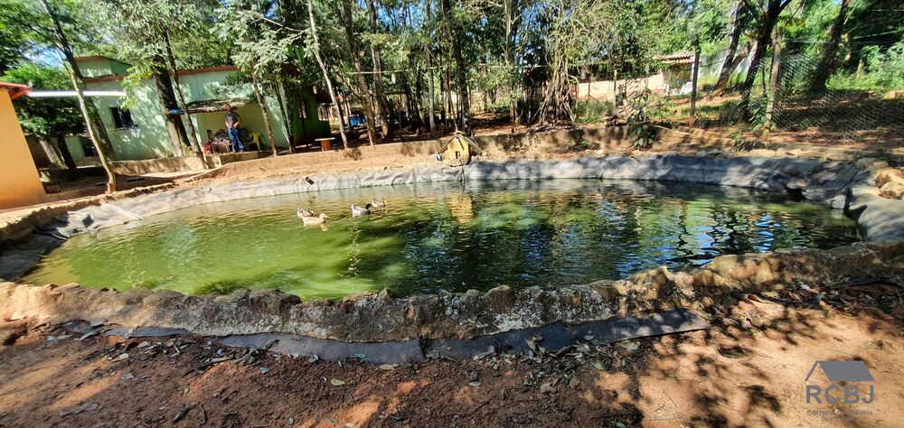 Sítio, 3 quartos - Foto 7