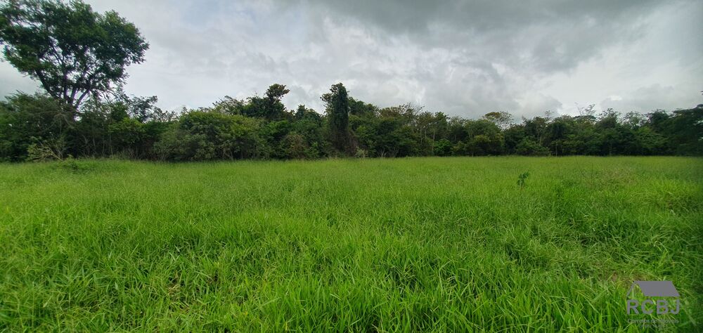 Fazenda, 15 m² - Foto 2