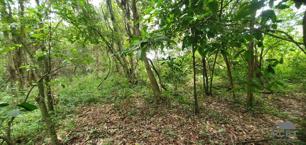 Fazenda, 15 m² - Foto 3