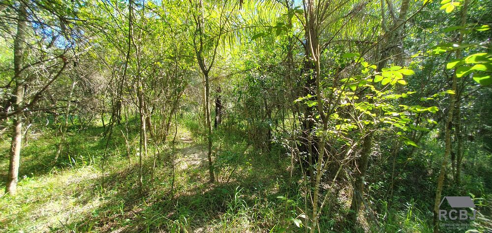 Fazenda, 13 m² - Foto 8